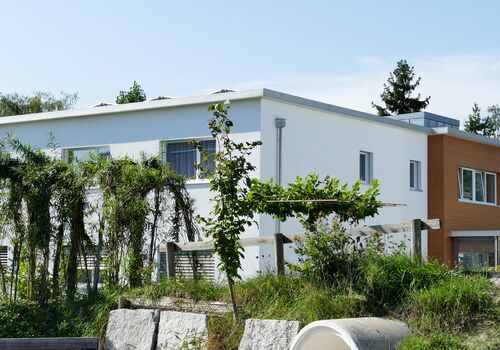 MFH Affeltrangen