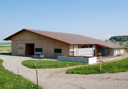 Scheune Wittenwil